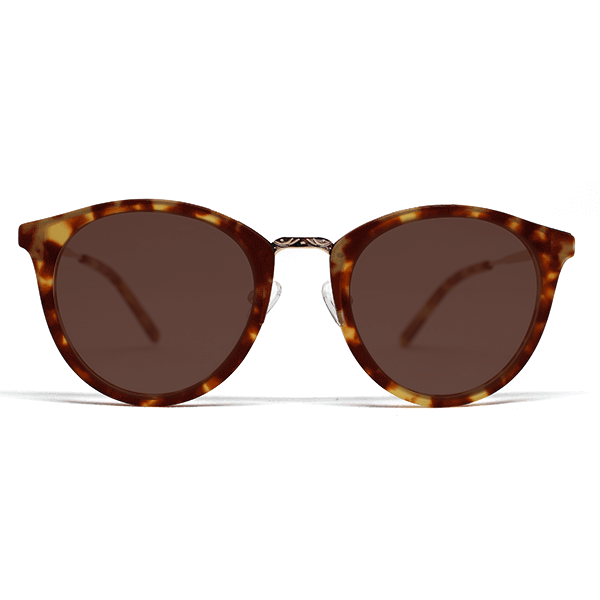 PARIS-MB-47-Polarized-Brown-80